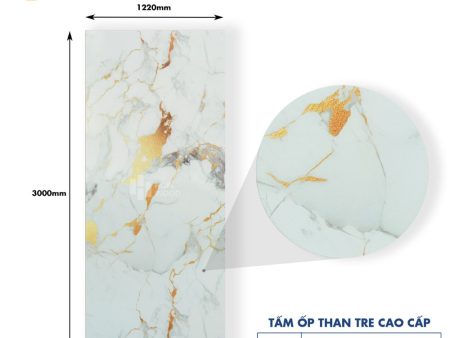 Tấm Ốp Than Tre Vân Đá Marble HB203 - Màu Trắng Vân Vàng Gold